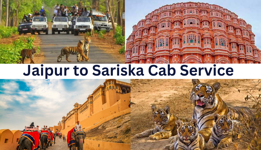 Exploring the Mystical Sariska Wildlife Sanctuary: A Jaipur to Sariska Cab Service